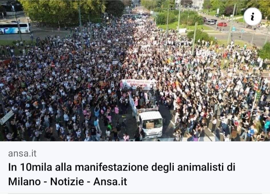 manifestazione santuari 387110385_627428412897471_2478493922908973058_n - copia